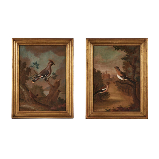 Pair 18th Century Avian Paintings