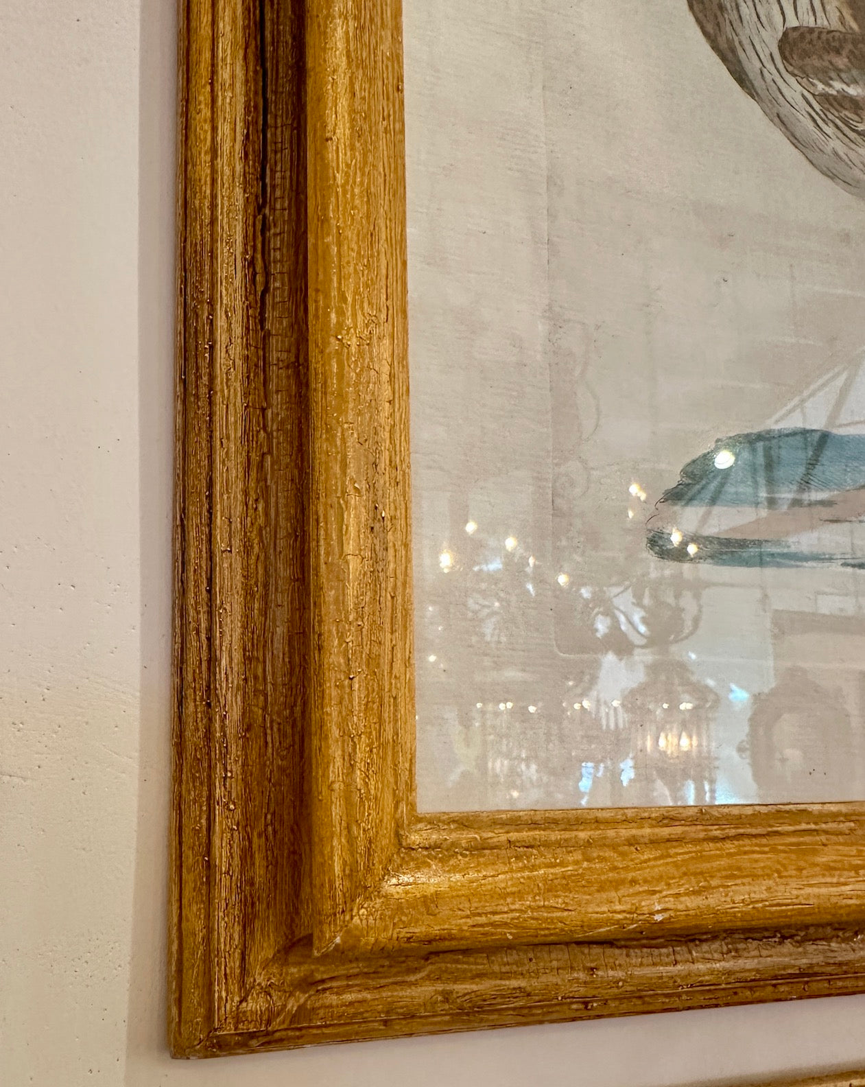 Set of 4 Original Strike Engravings by Saverio Manetti – 18th Century Hand-Colored Avian Prints in Later Frames