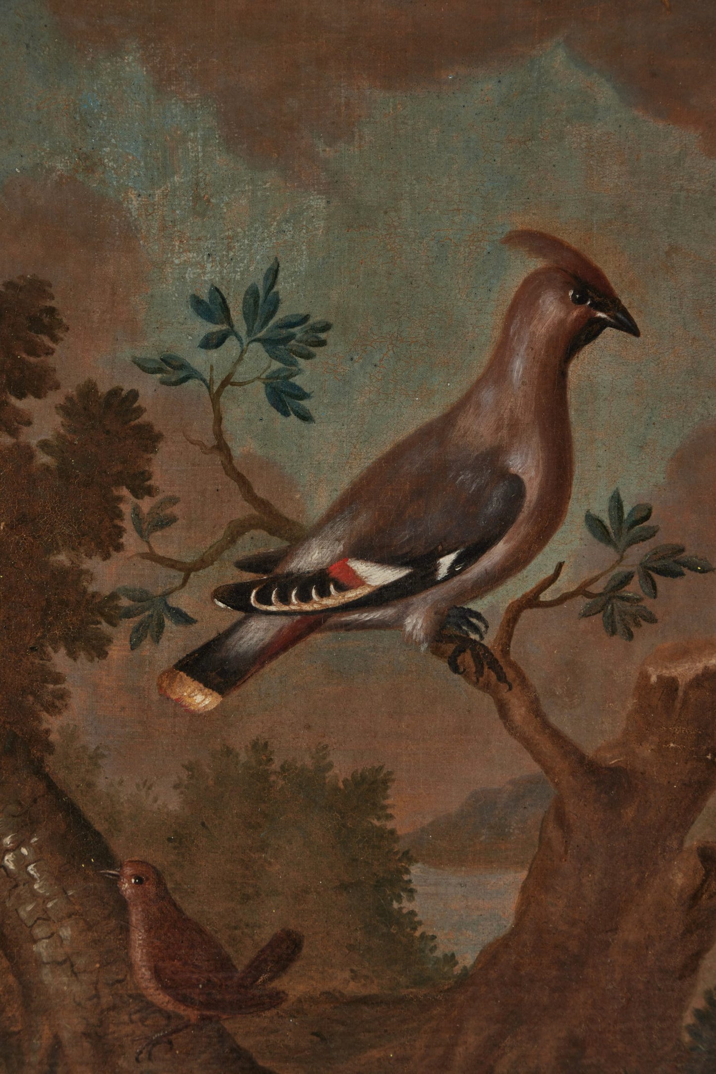 Pair 18th Century Avian Paintings