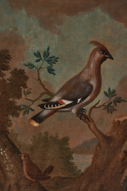 Pair 18th Century Avian Paintings