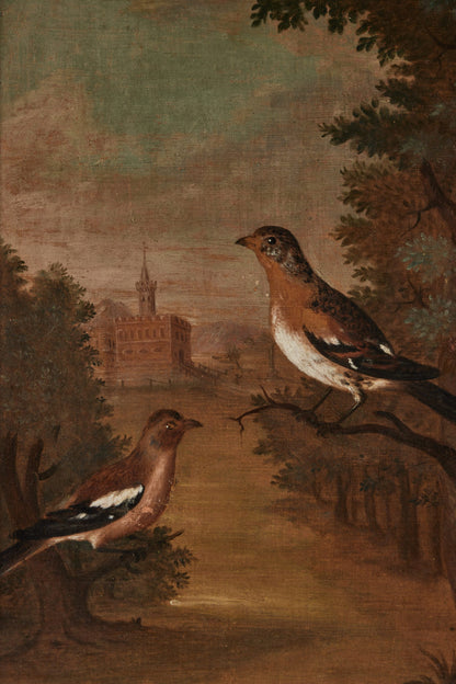 Pair 18th Century Avian Paintings