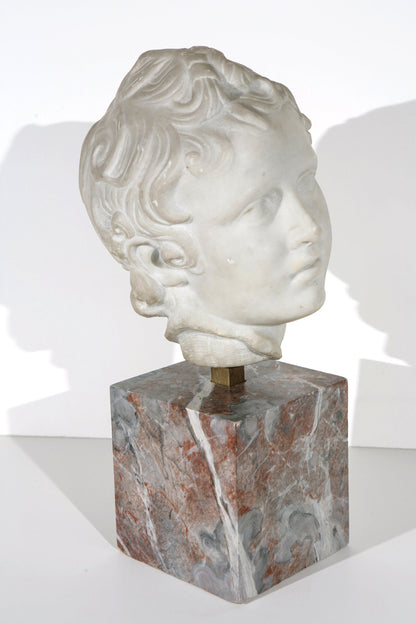 19th  Century Marble Bust