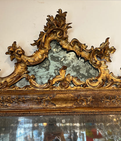 Italian Gilt-wood Cartouche Mirror