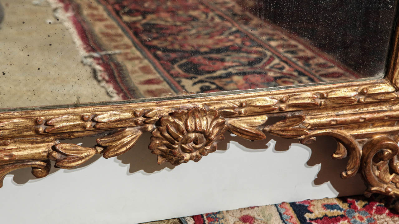 18th c., Italian, Gilt Wood Mirror