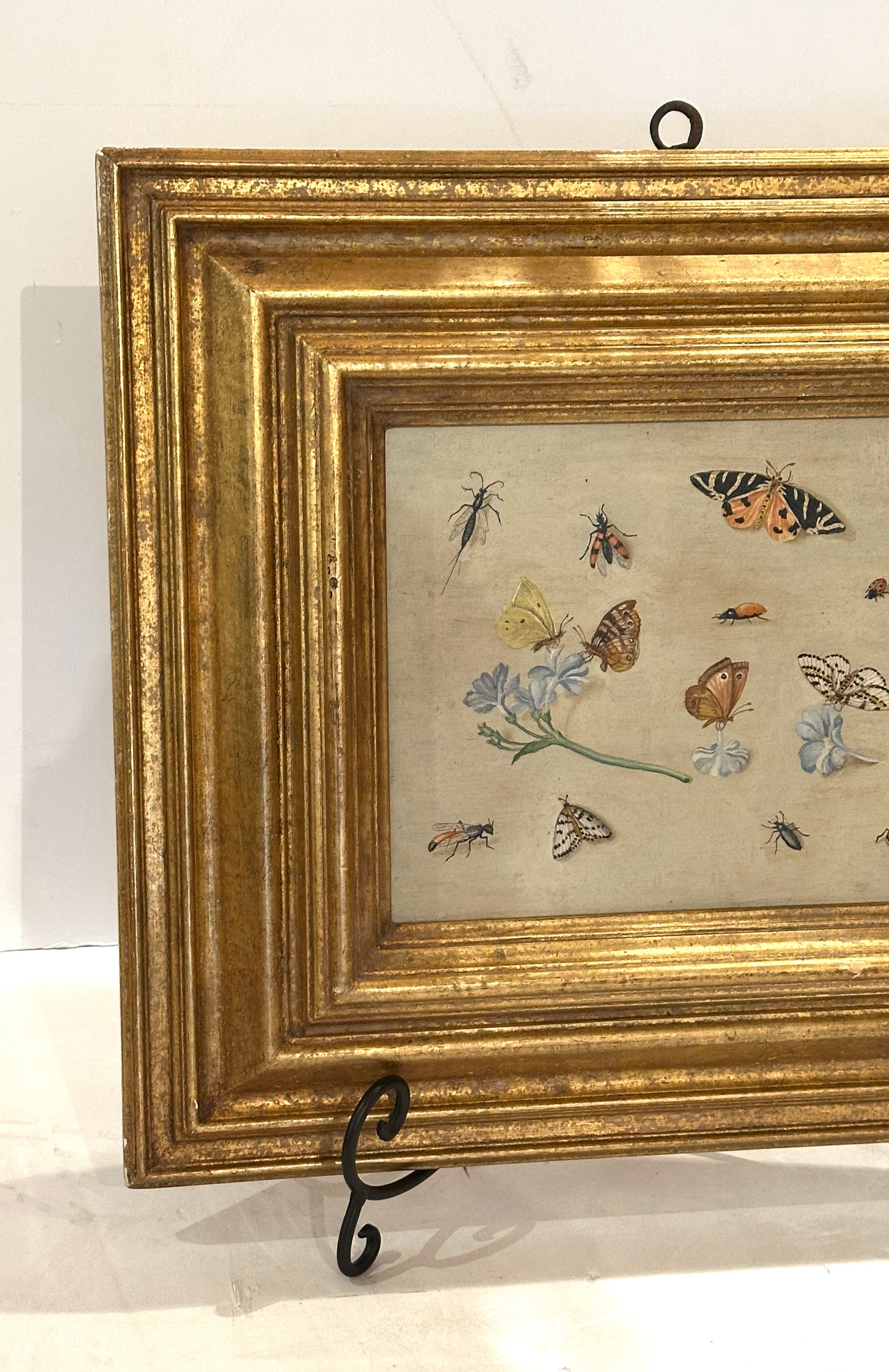 Oil on Board Painting Insect and Butterfly Study-19th Century