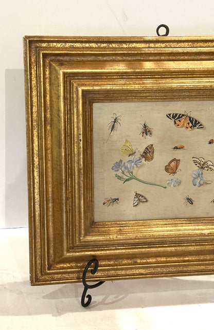 Oil on Board Painting Insect and Butterfly Study-19th Century