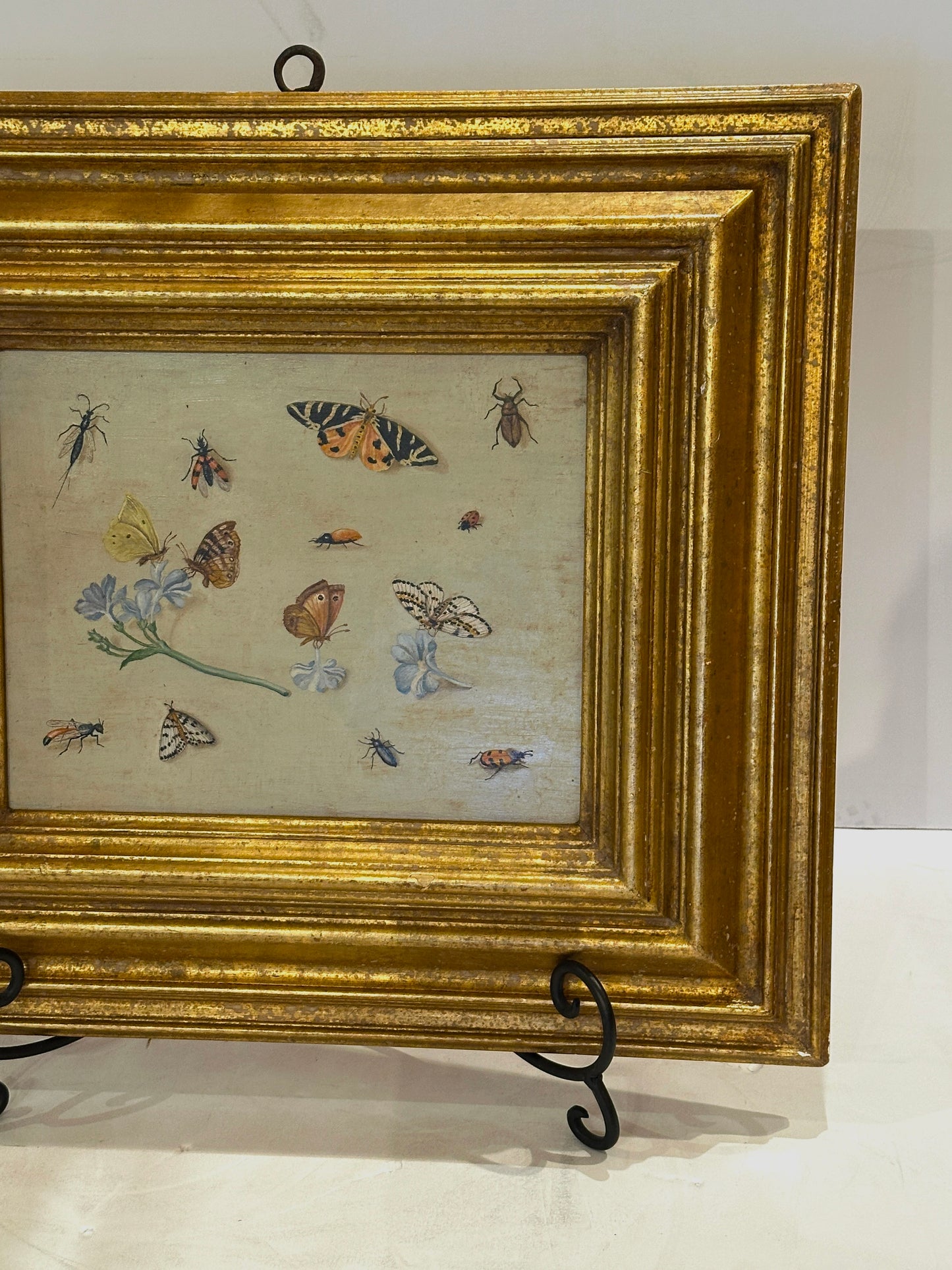 Oil on Board Painting Insect and Butterfly Study-19th Century
