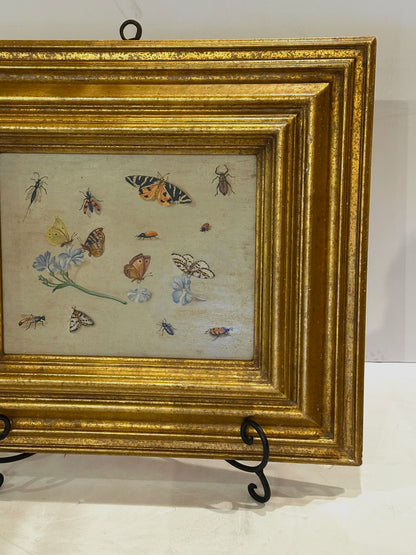 Oil on Board Painting Insect and Butterfly Study-19th Century