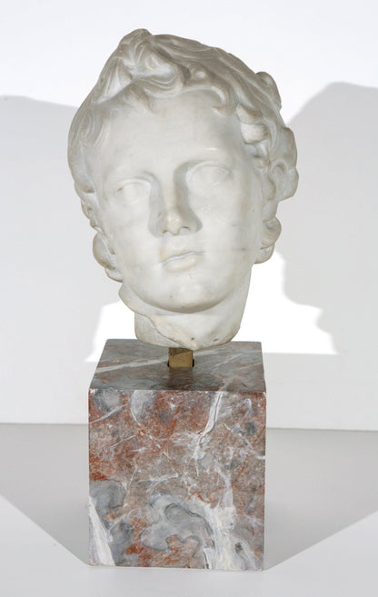 19th  Century Marble Bust