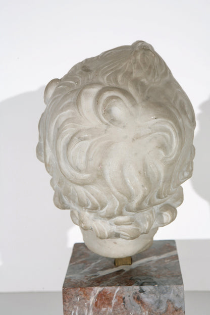 19th  Century Marble Bust