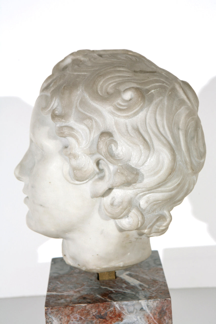 19th  Century Marble Bust