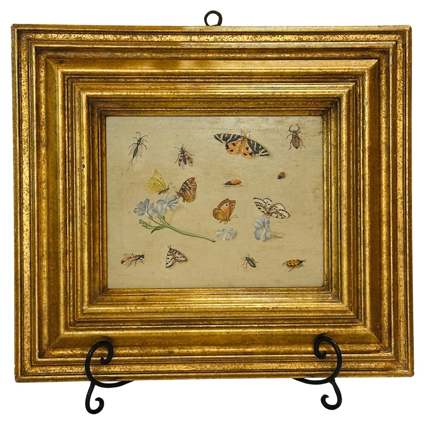 Oil on Board Painting Insect and Butterfly Study-19th Century