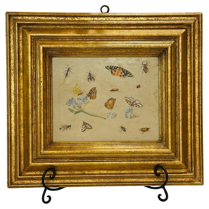 Oil on Board Painting Insect and Butterfly Study-19th Century